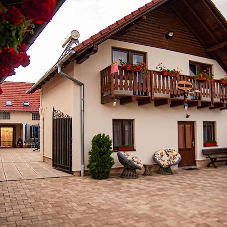 Casa Iancu Hotel Jina Kültér fotó