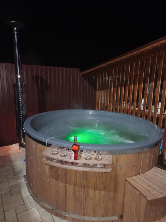Casa Iancu Hotel Jina Kültér fotó