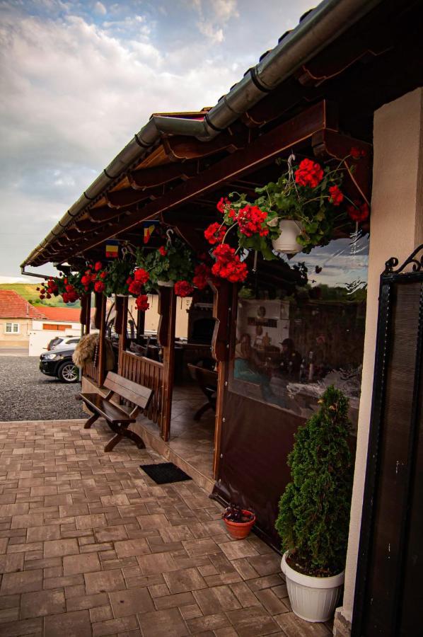 Casa Iancu Hotel Jina Kültér fotó