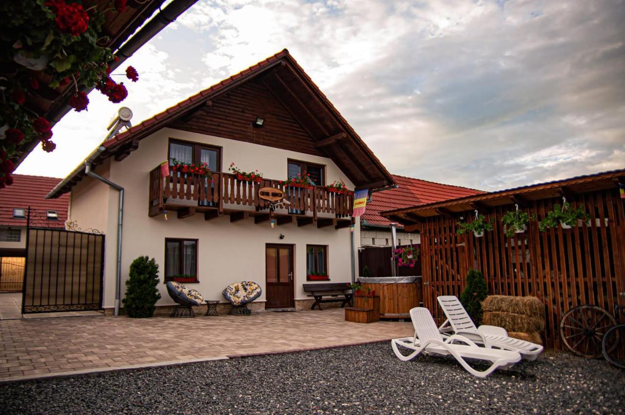 Casa Iancu Hotel Jina Kültér fotó
