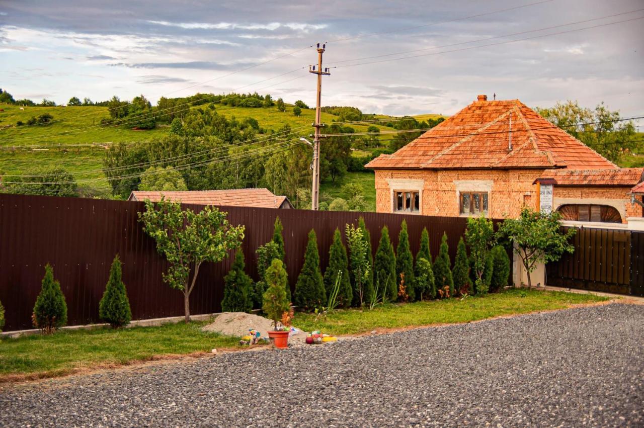 Casa Iancu Hotel Jina Kültér fotó