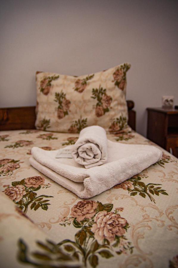 Casa Iancu Hotel Jina Kültér fotó