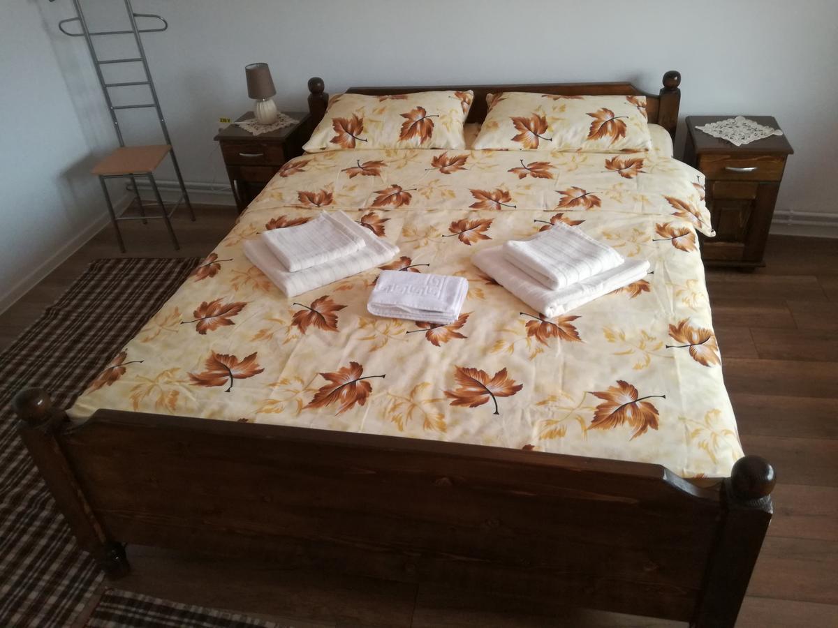 Casa Iancu Hotel Jina Kültér fotó