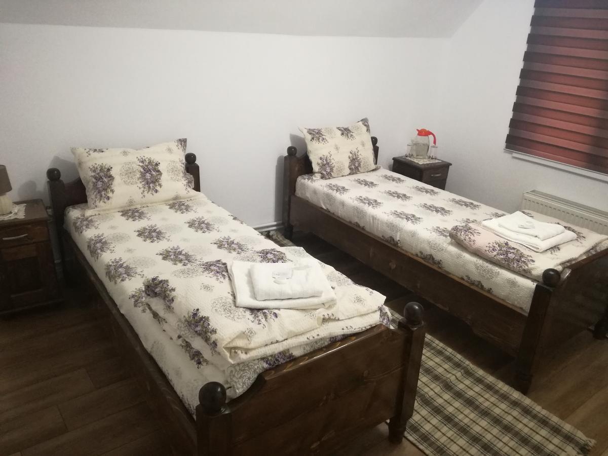 Casa Iancu Hotel Jina Kültér fotó
