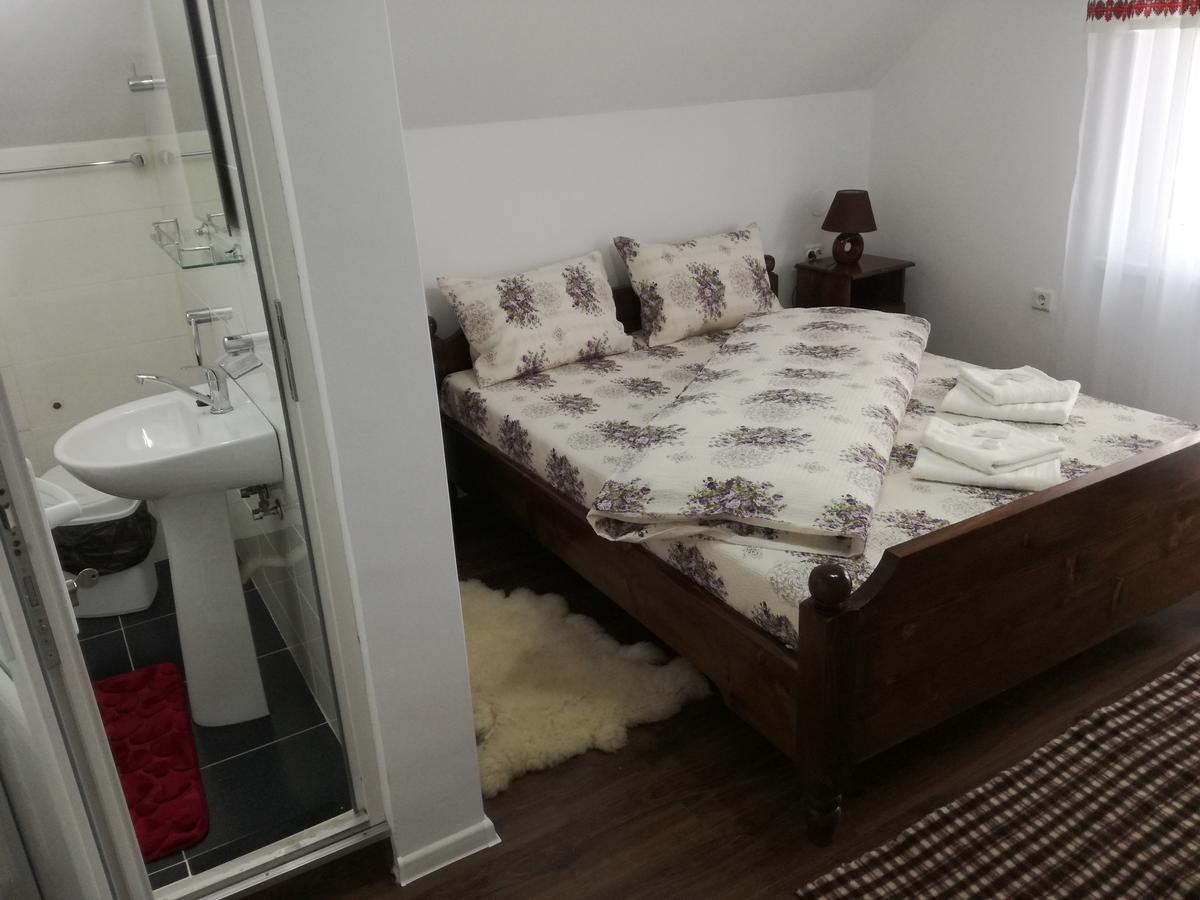 Casa Iancu Hotel Jina Kültér fotó