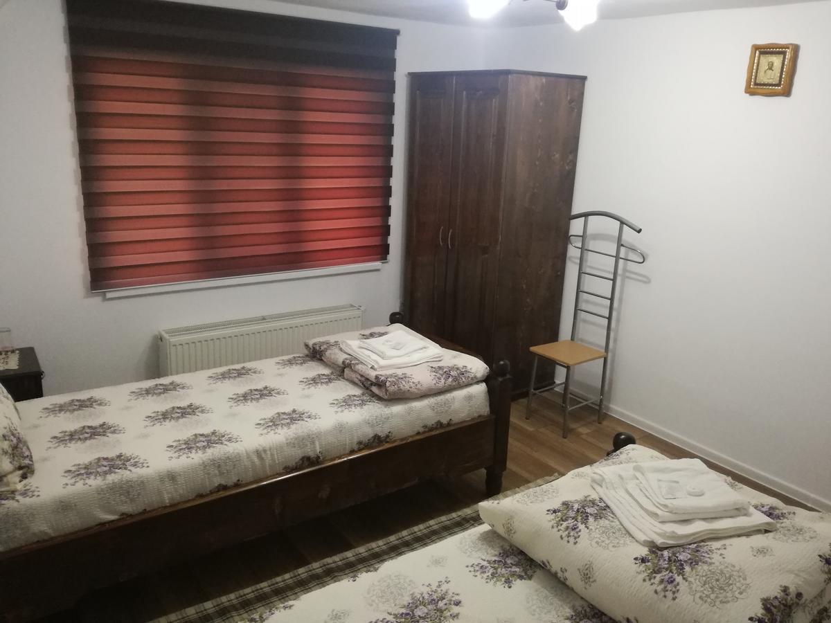 Casa Iancu Hotel Jina Kültér fotó