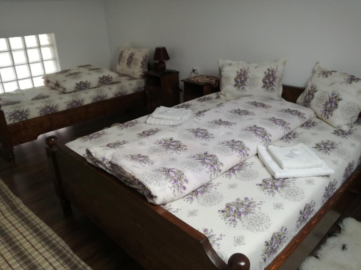 Casa Iancu Hotel Jina Kültér fotó