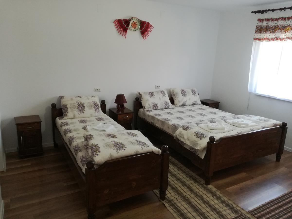 Casa Iancu Hotel Jina Kültér fotó