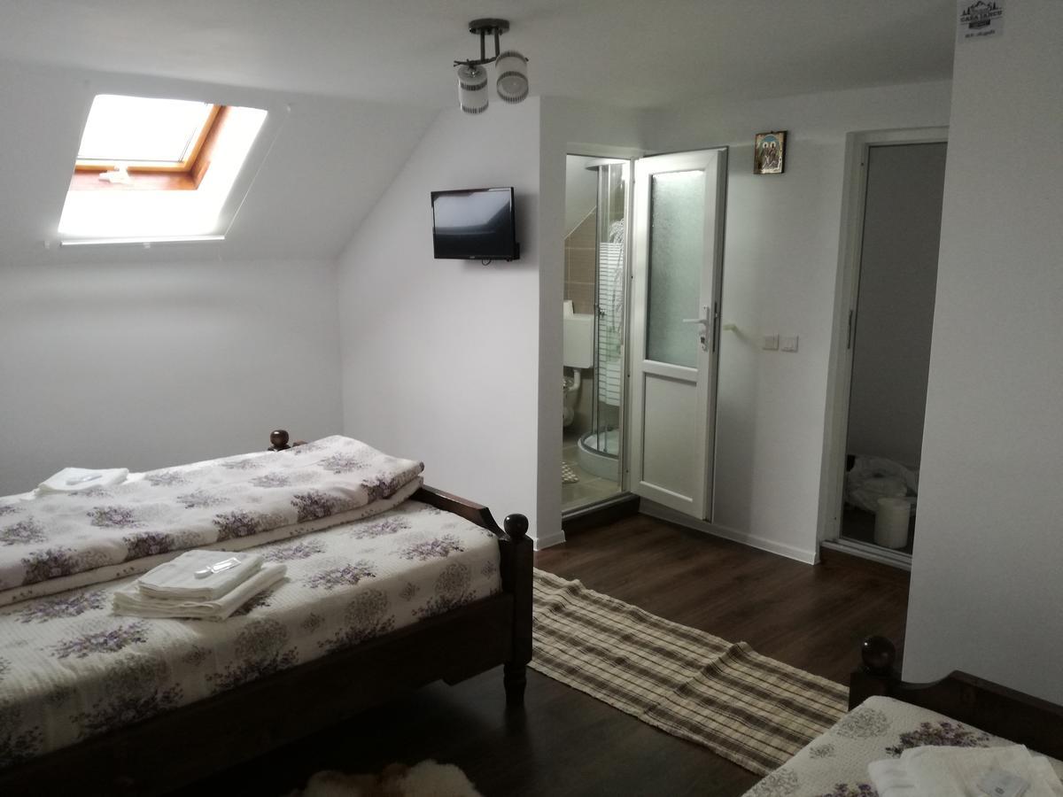 Casa Iancu Hotel Jina Kültér fotó