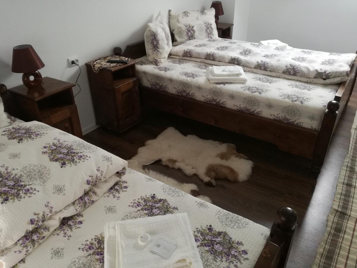Casa Iancu Hotel Jina Kültér fotó