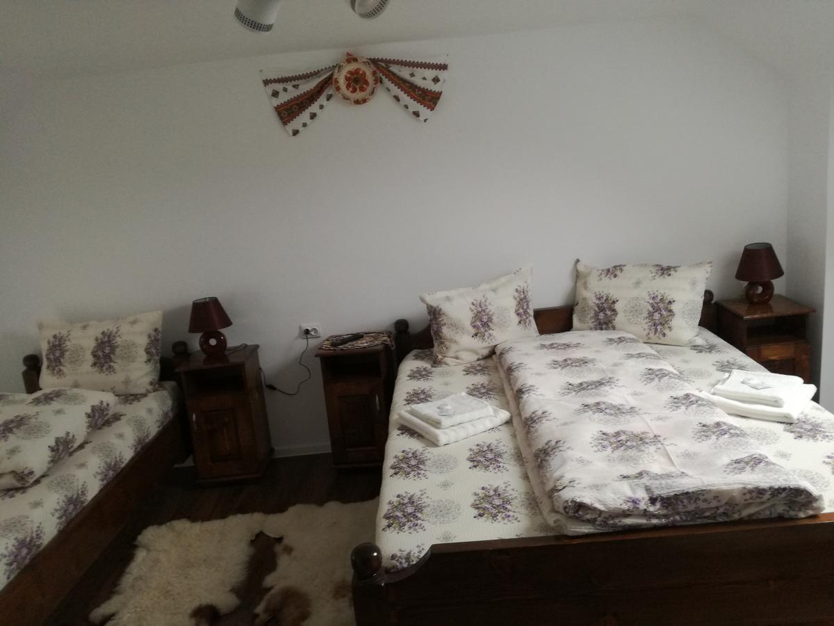 Casa Iancu Hotel Jina Kültér fotó