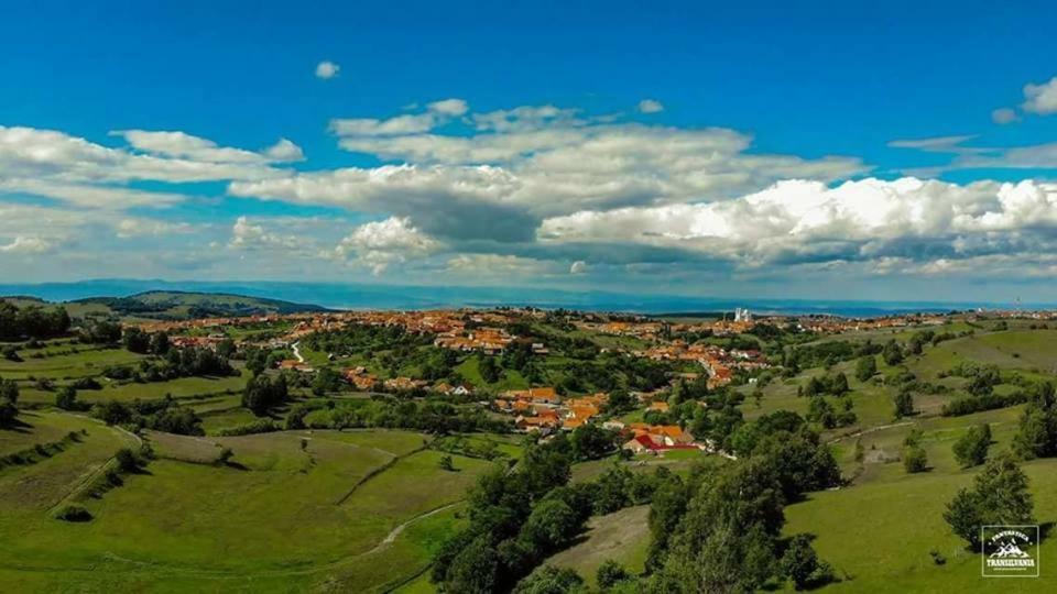 Casa Iancu Hotel Jina Kültér fotó