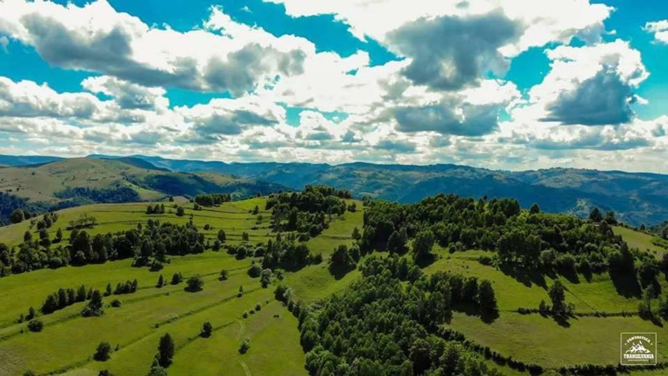Casa Iancu Hotel Jina Kültér fotó